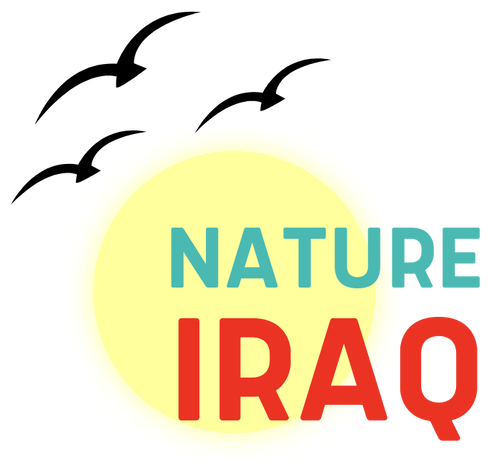 Nature Iraq logo