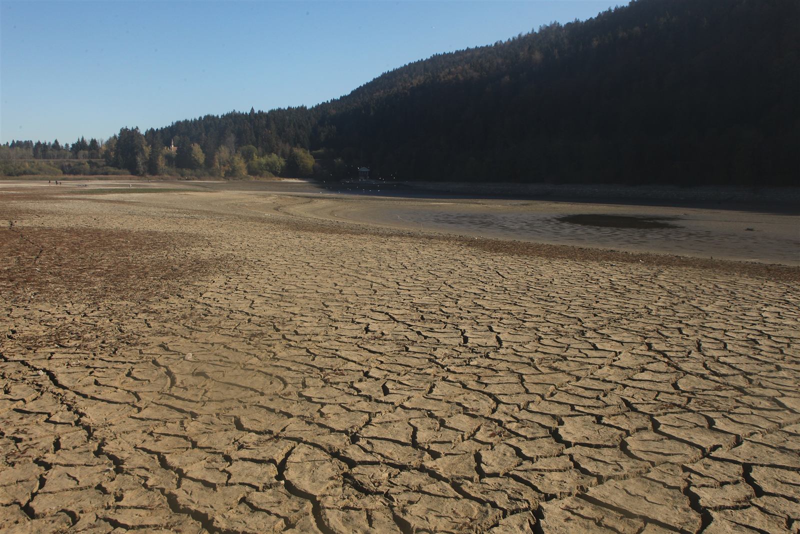 Cracked, drought-stricken earth