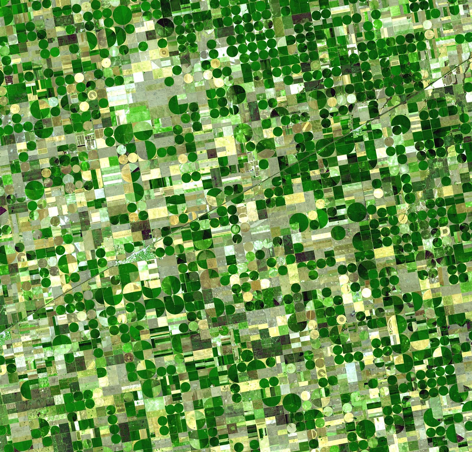 Aerial view of farmland