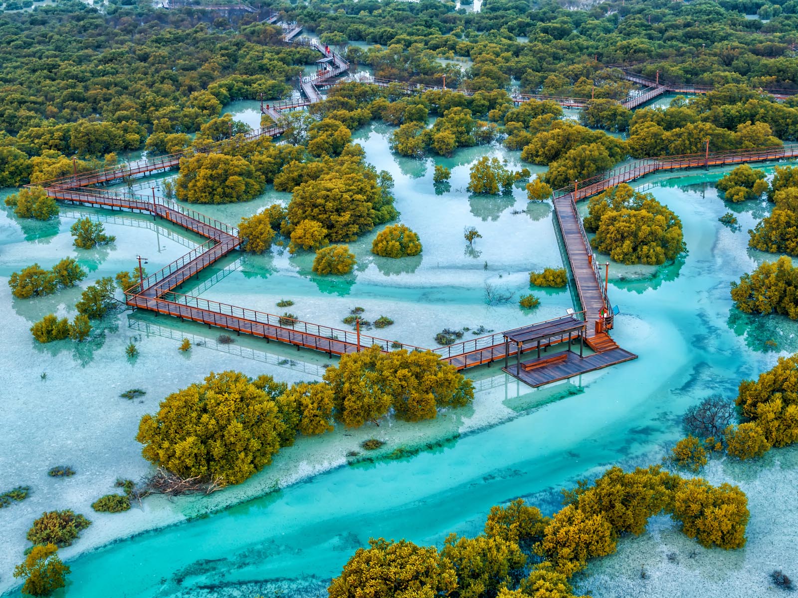 Aerial view of the boardwalk winding through Jubail Mangrove Park, Abu Dhabi