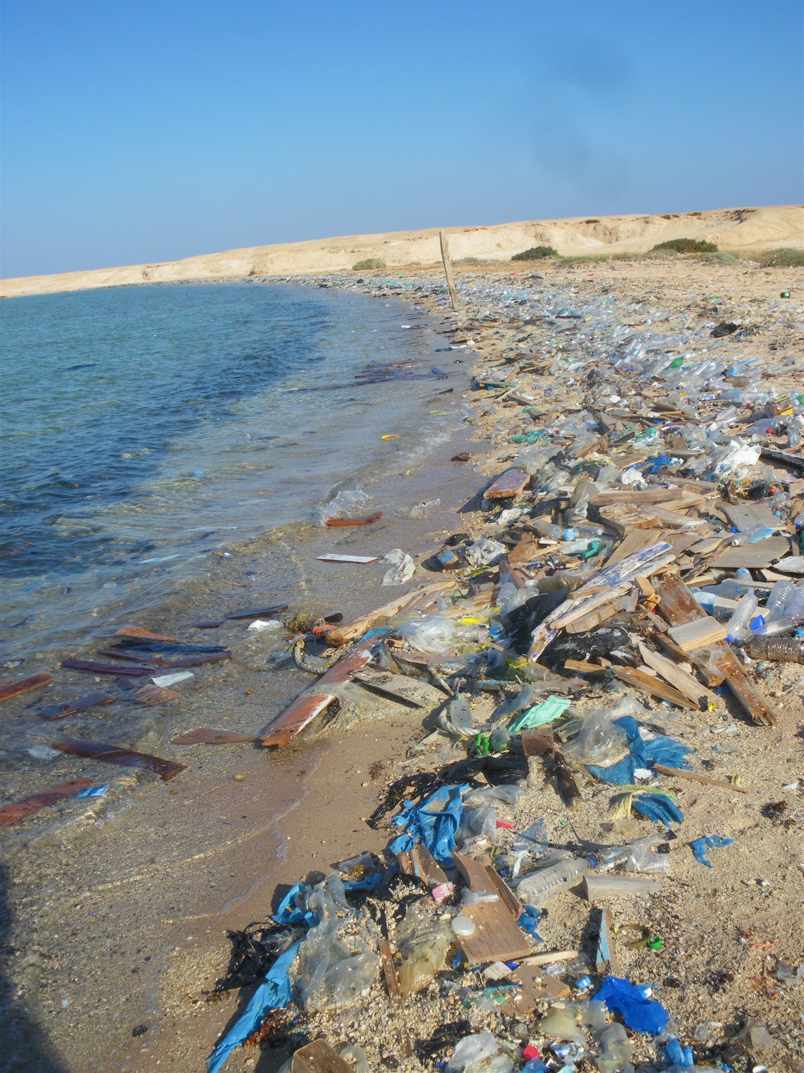 Plastic bottles on a beach