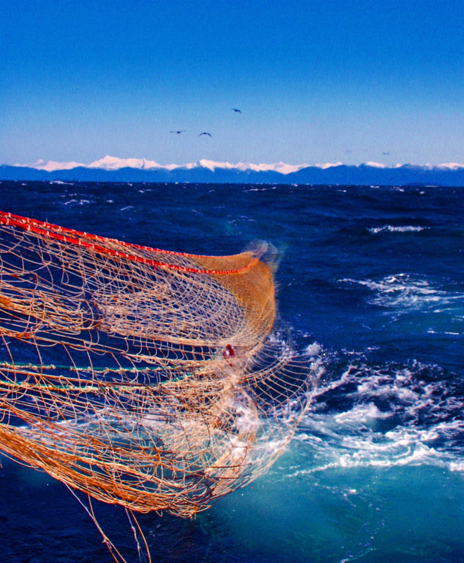 Fishing net being hauled from the ocean